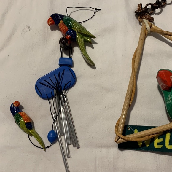 Parrots 🦜 - Picture 9 of 12